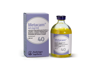 METACAM 1FL INIET 100ML40MG/ML