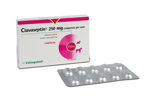 CLAVASEPTIN 10CPR 250MG