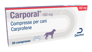 CARPORAL 20CPR 160MG