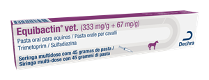 EQUIBACTIN VET 1SIR 45G PASTA