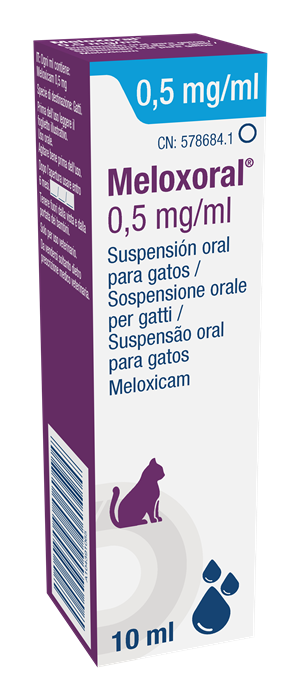 MELOXORAL OS 10ML 0,5MG/ML GAT