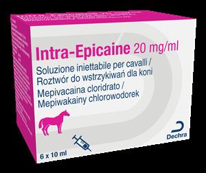 INTRA EPICAINE 6FL 10ML20MG/ML INTRA EPICAINE 6FL 10ML20MG/ML