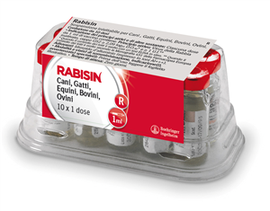 RABISIN 10FL 1ML 1D RABISIN 10FL 1ML 1D