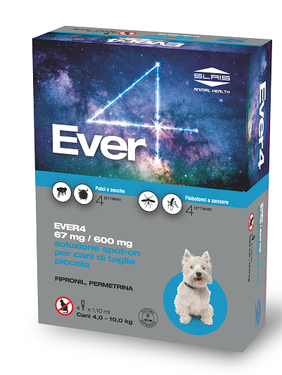 EVER 4 4PIP 1,10ML 67+600MG