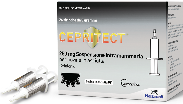 CEPRITECT 24SIR 250MG