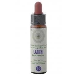 FIORI DI BACH 19 LARCH GTT