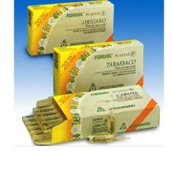 FISIOSOL PL MEDICAGO SAT 40F