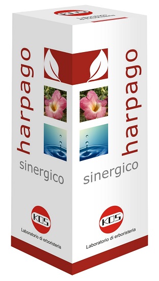 HARPAGO SINERGICO GTT 100ML