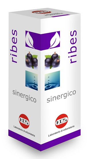 RIBES SINERGICO GTT 100ML