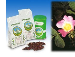 ROSA CANINA S/SEMI 1000G