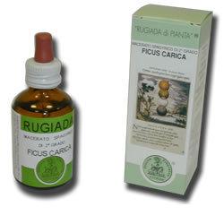 FICUS CARICA ASTRUM RUGIA 50ML