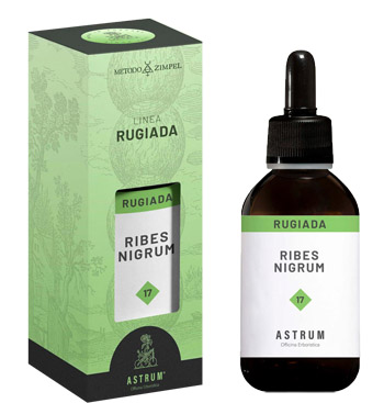 RIBES NERO ASTRUM RUGIADA 50ML