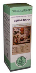 SEMI DI NAPO ASTRUM RUGIA 50ML