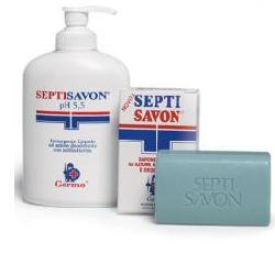 SEPTISAVON DETERGENTE LIQ250ML