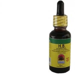 HB ECHINACEA 30ML