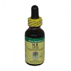 HB LAMPONE 30ML