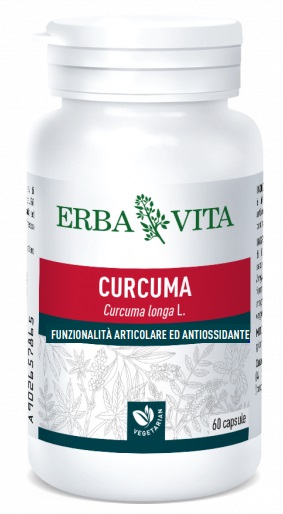 CURCUMA 60CPS 450MG