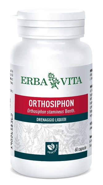 ORTOSIPHON 60CPS 400MG