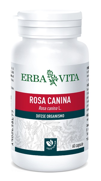 ROSA CANINA 60CPS 400MG