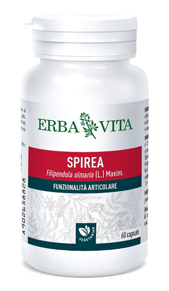 SPIREA ULMARIA 60CPS 400MG