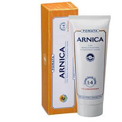 ARNICA FORTE POMATA 100ML