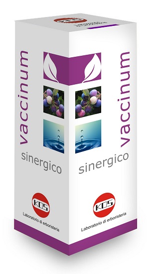 VACCINIUM SINERGICO GTT 100ML