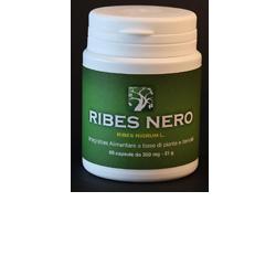 RIBES NERO ABROS 50CPS