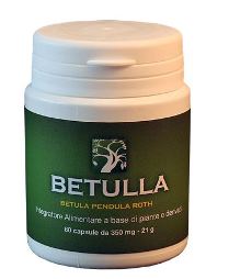 BETULLA ABROS 50CPS