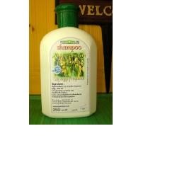 SHAMPOO NEEM LAV FREQ BIOL 250