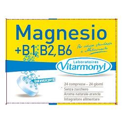 MAGNESIO+B1+B2+B6+B9+B12 24CPR