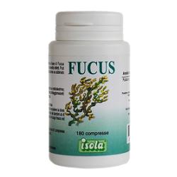 FUCUS 180CPR 54G