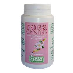 ROSA CANINA C/BIOFLAV 100CPR