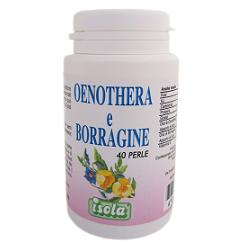 OENOTHERA BORRAGINE 40PRL