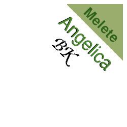 BK ANGELICA GTT 30ML