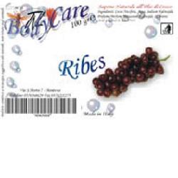 BODYCARE RIBES SAP 100G