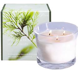 LUXURY MEDIUM CYPRESS&PATCHOUL
