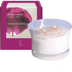 LUXURY LARGE CYPRESS&PATCHOULI