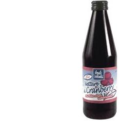 NETTARE CRANBERRY 330ML NETTARE CRANBERRY 330ML