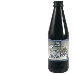 SUCCO RIBES NERO 330ML