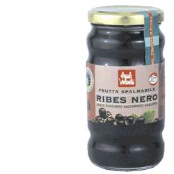 FRUTTA SPALMAB RIBES NERO 280G