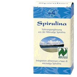 GSE SPIRULINA 240CPS GSE SPIRULINA 240CPS
