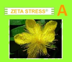 ZETA STRESS A 15CPS