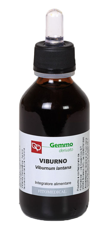 VIBURNO MG 100ML