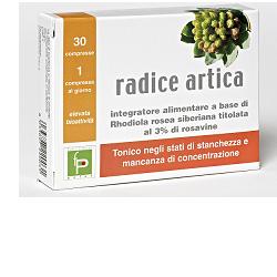 RADICE ARTICA 30CPR