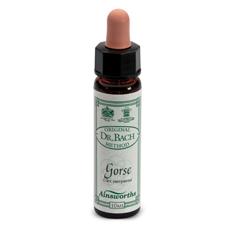 AINSWORTHS GORSE 10ML