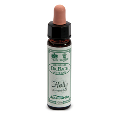 AINSWORTHS HOLLY 10ML