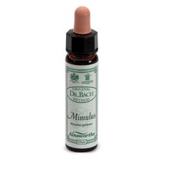 AINSWORTHS MIMULUS 10ML