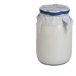 CASCINA BI YOGURT BI MAG 500G