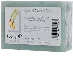 KANTANGIAN SAPONETTA OLIO GE G