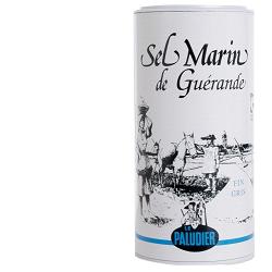 LE PALUDIER SALE ATL GRI F250G